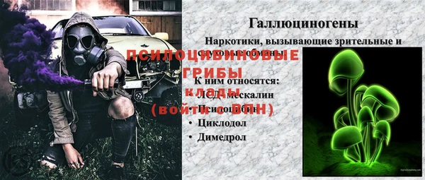 спайс Алзамай