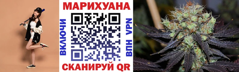 как найти наркотики  Туймазы  Бошки марихуана сатива 
